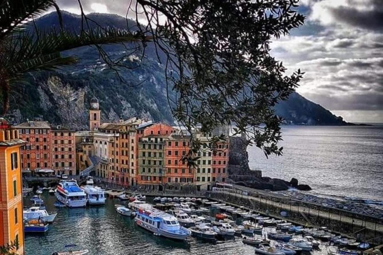 Rosablu Vacanza Tra Mare E Parco Di Portofino Камольи Экстерьер фото