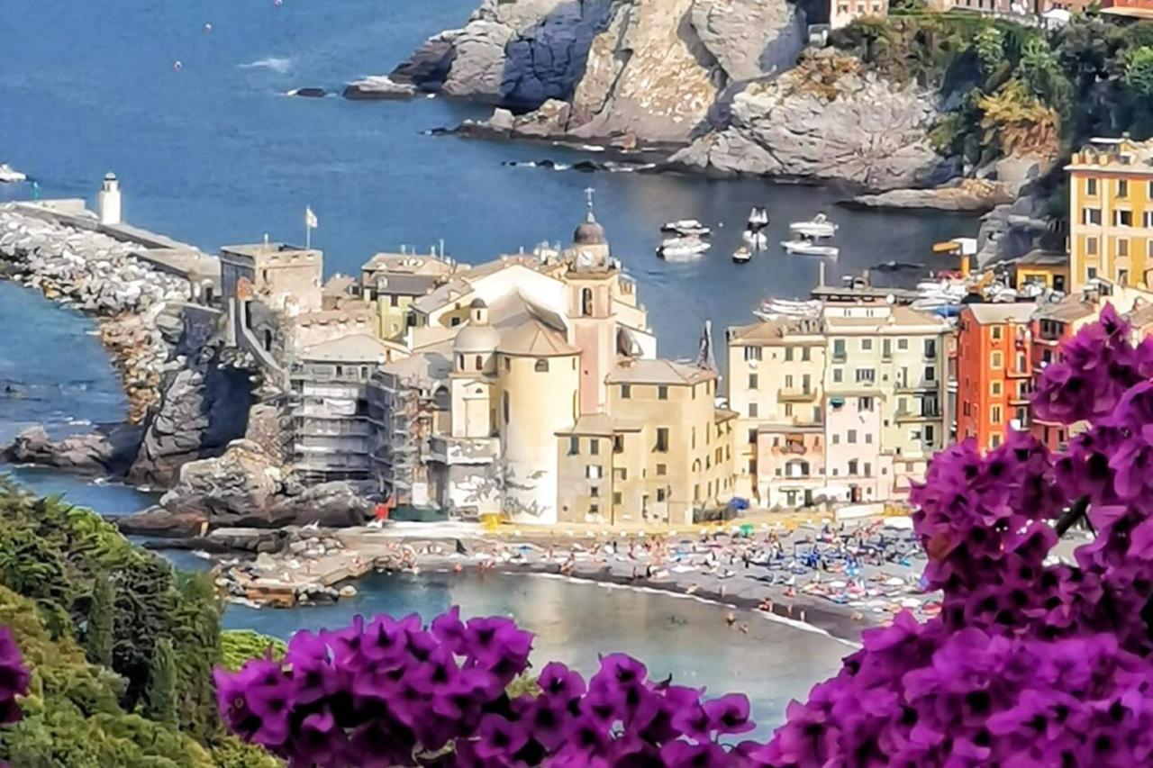 Rosablu Vacanza Tra Mare E Parco Di Portofino Камольи Экстерьер фото