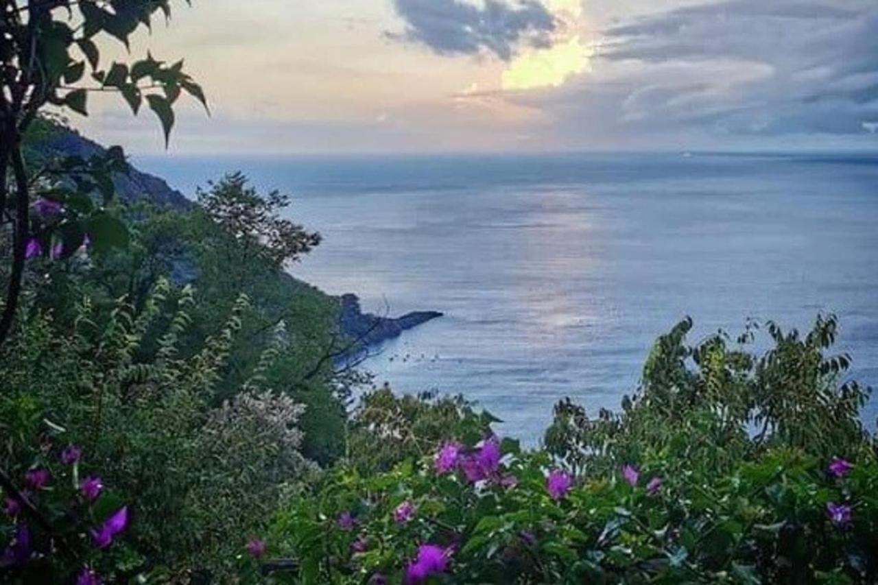 Rosablu Vacanza Tra Mare E Parco Di Portofino Камольи Экстерьер фото
