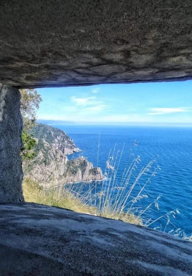 Rosablu Vacanza Tra Mare E Parco Di Portofino Камольи Экстерьер фото