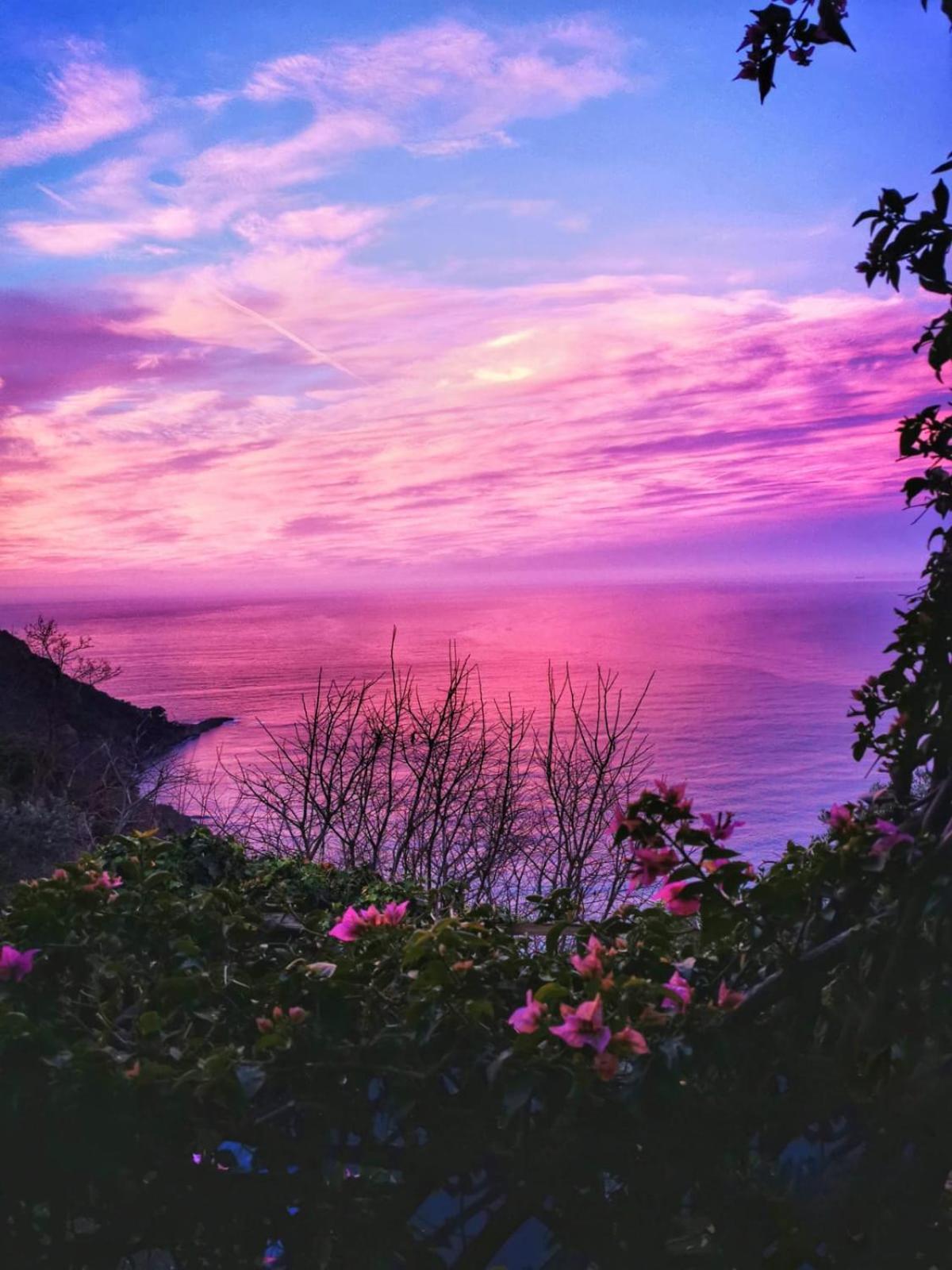 Rosablu Vacanza Tra Mare E Parco Di Portofino Камольи Экстерьер фото