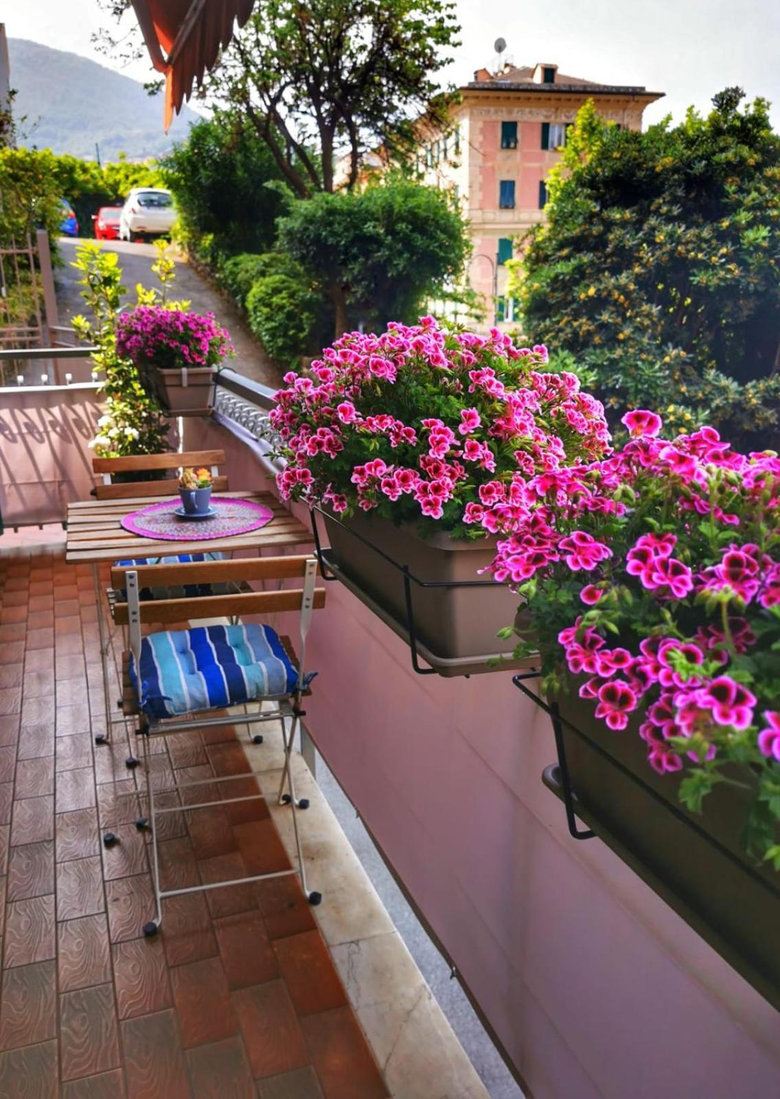Rosablu Vacanza Tra Mare E Parco Di Portofino Камольи Экстерьер фото